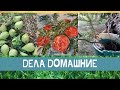 Ремонт своими руками продолжается // Небольшая посадка // Нарисовала шпаклевкой