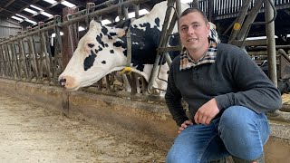 Le Troupeau Holsteinjersiais Productif De La Scea Popot 80