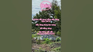 2.600m đất .có 37 gốc sầu riêng.xã Tân lập ,Tân thạnh,Long an.giá:850tr.dt:0906375373