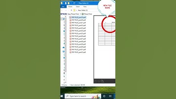 PDF File Renaming Made Easy and Quick #pdf #rename #file