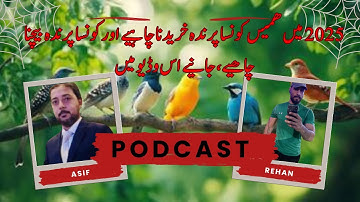 Java care, java breeding,  Fawn Java , Java Sparrow , Java Finch , White Java , Silver Java