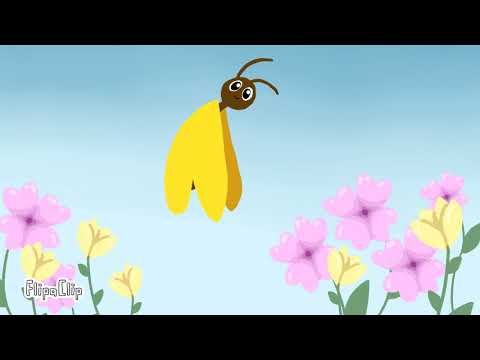 kelebek animasyon