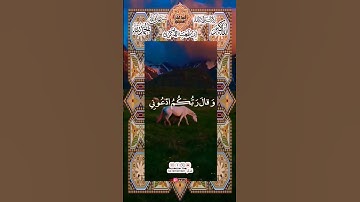 #quran #قرآن #عبدالباسط_عبدالصمد #سورة غافر #اكسبلور