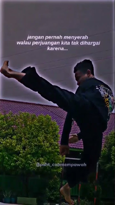 Story Wa PSHT ♥️ batas akhir perjuangan adalah kain kafan 🙏🏻 #short #storywapsht