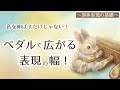 【演奏表現の基礎】音を伸ばすだけじゃない！ペダルで広がる表現の幅