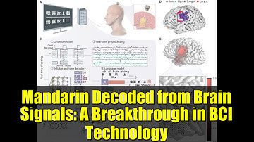 Mandarin Decoded from Brain Signals: A Breakthrough in BCI Technology