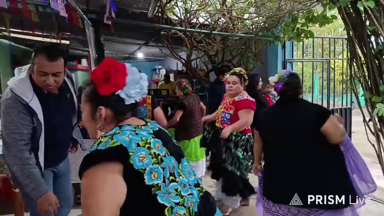 Transmisión en directo de Zarpazo Musical