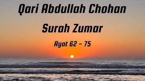 القاري عبدالله جوهان | سورة الزمر
