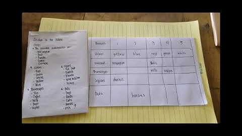 EINSTEIN LOGIC PUZZLE (SOLUTION)