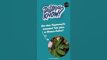 Thigmonastic movement in Mimosa Pudica | Control And Coordination Class 10