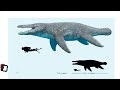 Kronosaurus Queenslandicus Size Comparison