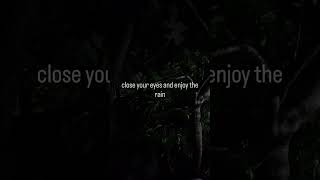 Dark Rain Sounds at Night 🌧️ Forest Sleep Ambience #shorts #rainoundforsleep #peace #deepsleep