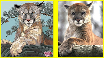 Happy color game color by numbers in real life # 55