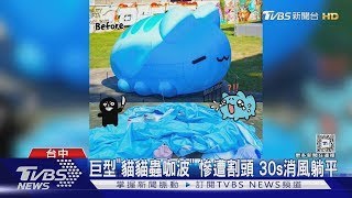 鼻要~貓貓蟲「咖波」遭割頭 30秒消風躺平 犯案影像曝｜TVBS新聞