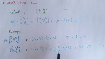 Calculer un DÉTERMINANT de taille 2x2 - Méthode & Exemples - Algèbre maths Prépa Licence