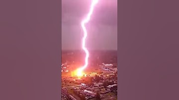 Lightning Strikes the Tree — Nature’s Raw Power Unleashed! part -2 #naturepower #newyork