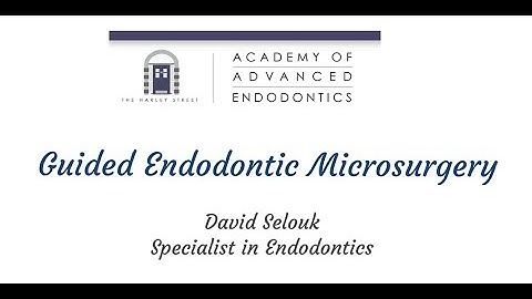 Guided Endodontic Surgery