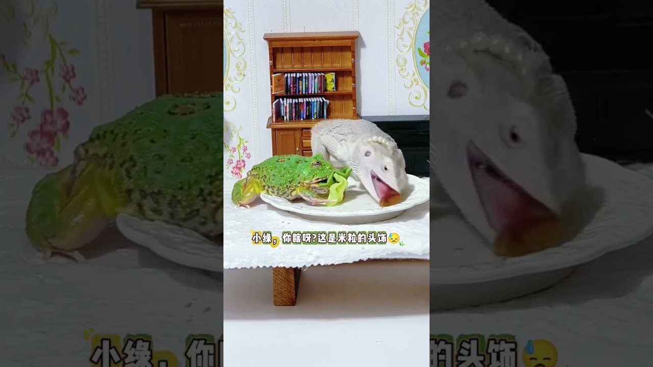 Food Battle On The Dining Table My Lizard Is Not Mine Who Can Win Daily Life Of Cute Pets 