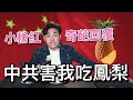 小粉紅各種奇葩留言，中共害我吃鳳梨吃到吐！結果中國鳳梨大漲3倍，害到了誰？