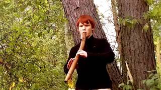 Native Americian Flute Music - Improvisation by Nicolas Vasin