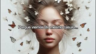 Sia - Butterflies (Tradução)