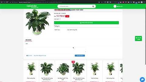 Đồ án website bán cây cảnh laravel 2021 làm thuê đồ án code thuê đồ án