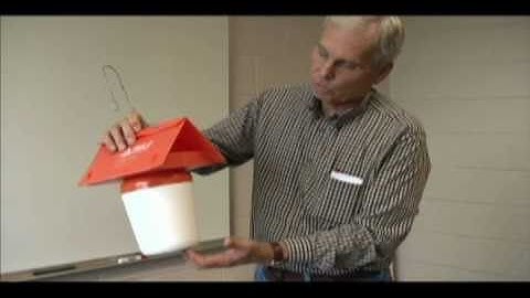 CASC Insect Monitoring: Digital Codling Moth Trap