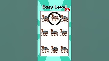 Spot the Difference Challenge for Kids | Fun Brain Game | #shorts