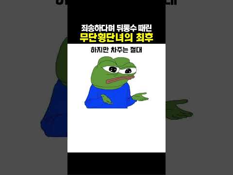 죄송하다며 통수 친 무단횡단녀의 최후 #블랙박스 #교통사고 thumbnail