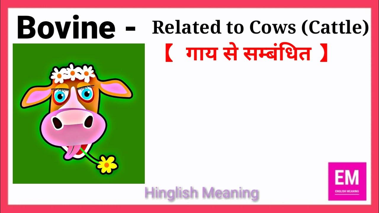 Bovine Meaning I 15 Sec Self Practice English Vocab I Hinglish Meaning bovine-meaning-i-15-sec-self-practice-english-vocab-i-hinglish-meaning