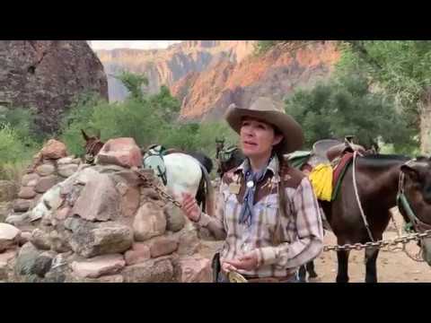 Vídeo: Colorado Canyon: Descripció