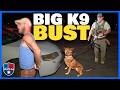 What This K9 Found Shocked Everybody!