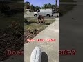 How to clean A Jobsite #shorts #construction #diy