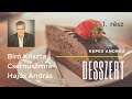 Desszert - Kepes András - 1. rész