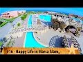 Happy Life Marsa Alam: Dreams & Diving