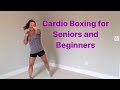 40 minute Cardio Box Aerobics for seniors and beginners!