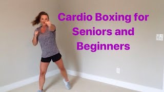 40 minute CARDIO BOXING AEROBICS for seniors and beginners!