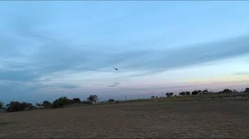 MIKE MSH PROTOS MAX V2 CABON FIBER BOOM  flight #2