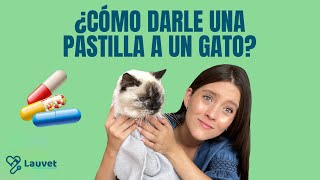 CÓMO DARLE UNA PASTILLA A UN GATO | Tutorial efectivo  Lauvet