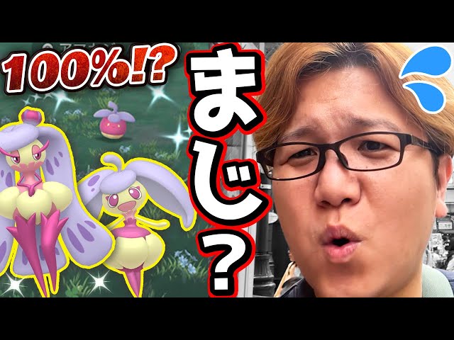 えっ100%!?アマカジコミュデイで雨ロケ敢行!!色違いアママイコ可愛過ぎやろー!!!【ポケモンGO】