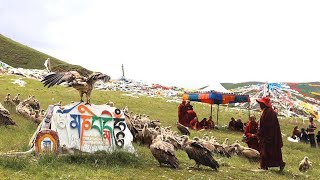 Sky Burial In Tibet | Buddhism