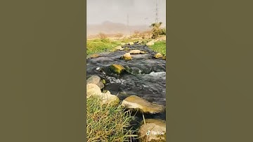 القارئ عبدالله الموسى 🎙🌿