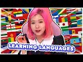 HAchubby learns new languages with TWITCH CHAT