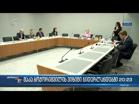 პარლამენტის ევროპასთან ინტეგრაციის კომიტეტის თავმჯდონარე ნიდერლანდებშია