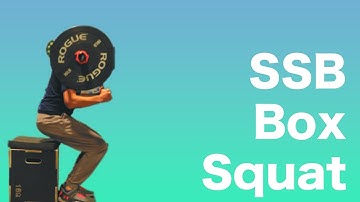 Safety Squat Bar Box Squat