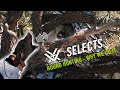 Hunting Mountain Lions Over Hounds ft. The Untamed | Vortex Selects