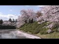 松が岬公園・米沢城