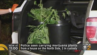 Police Seen Carrying Marijuana Plants From Home