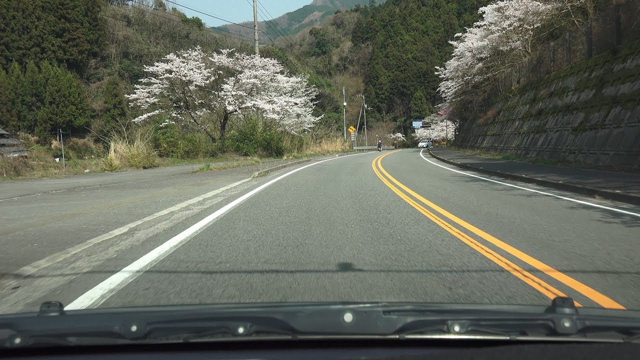 4k 国道11号 桜三里 桜が咲いている時期の撮影18 愛媛県西条市 丹原 東温市 川内 Youtube