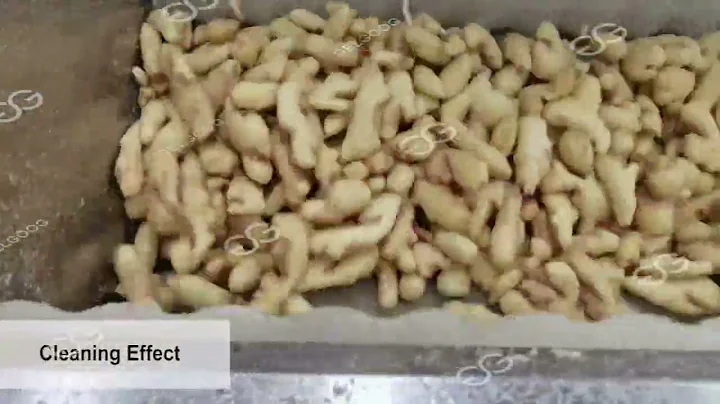 Ginger peeling machine line